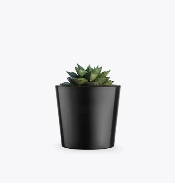 product-image-3_optimized Odio Pellentesque