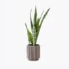 product-image-6_optimized Odio Pellentesque