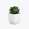 product-image-9_optimized Faucibus Interdum